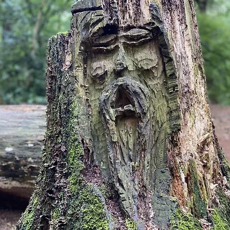 Sonneneck Am Harkebruegger Mit Sauna * Barssel (Cloppenburg)