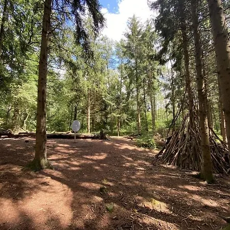Sonneneck Am Harkebruegger Mit Sauna
