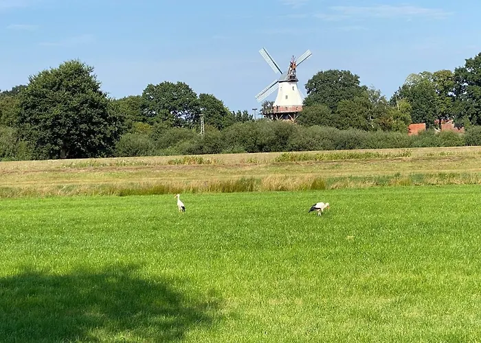 Sonneneck Am Harkebruegger Mit Sauna Hébergement de vacances *
